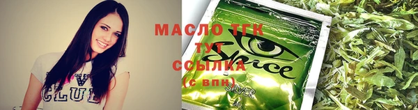 молекула духа Верхний Тагил