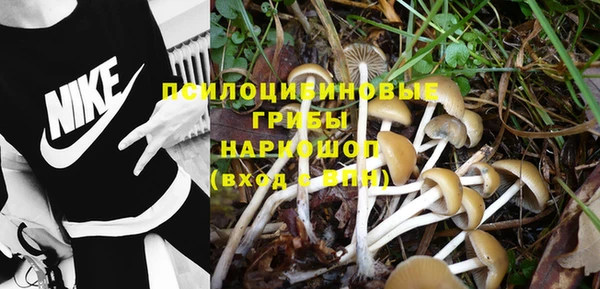 мяу мяу мука Верхнеуральск