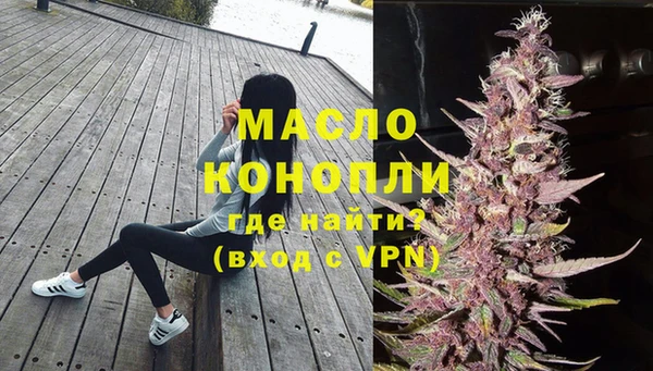 молекула духа Верхний Тагил