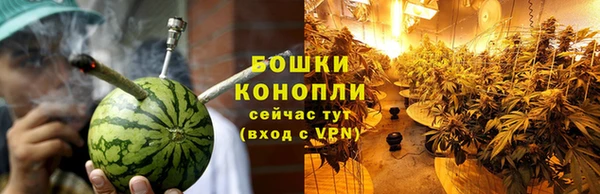 молекула духа Верхний Тагил