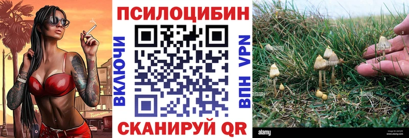 магазин  наркотиков  Верхняя Тура  Галлюциногенные грибы мицелий 