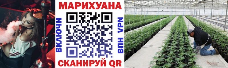OMG маркетплейс  закладка  Верхняя Тура  Бошки Шишки план 